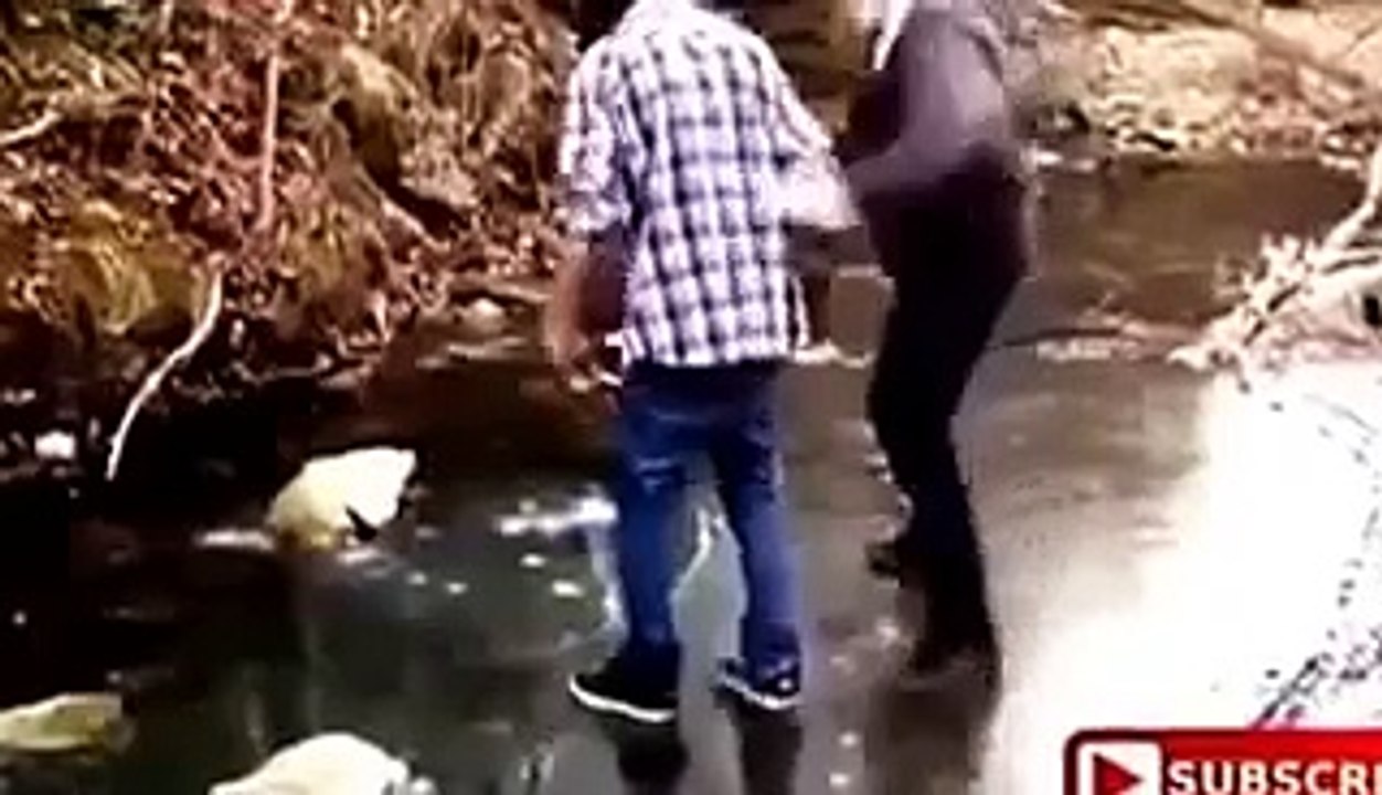 Top 10 Videos Funny of the Week - Funny Clip - Fail & Prank