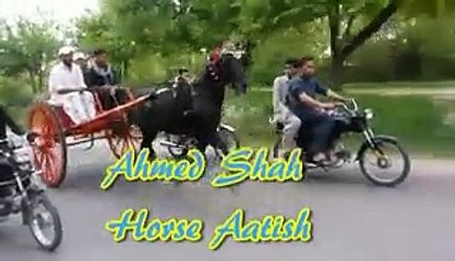 ahmed shah horse aatish jumma try with pic title