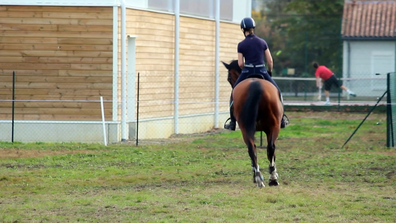 15-10-29 - Détente libre 1