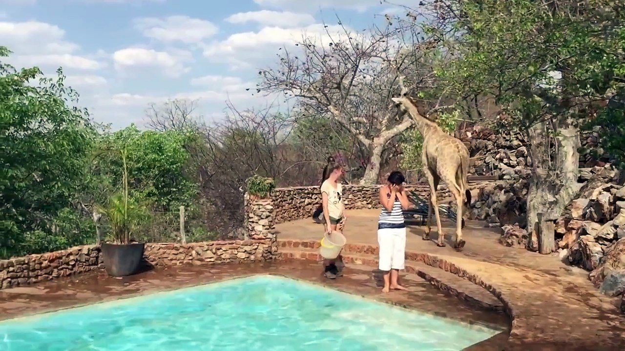 Le Zap de Spi0n n°286 - Zapping Web