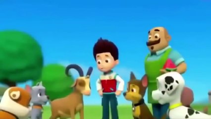 Games Movies Paw Patrol 2015 for Kids USA