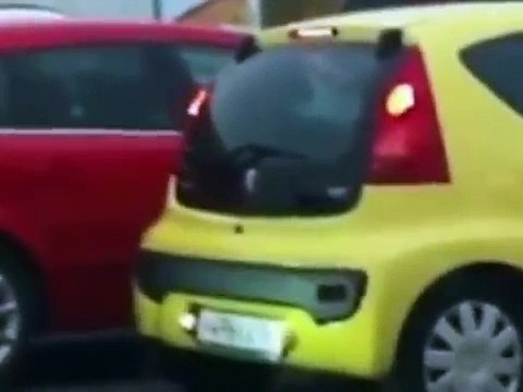 Две мымры на парковке, это жесть!