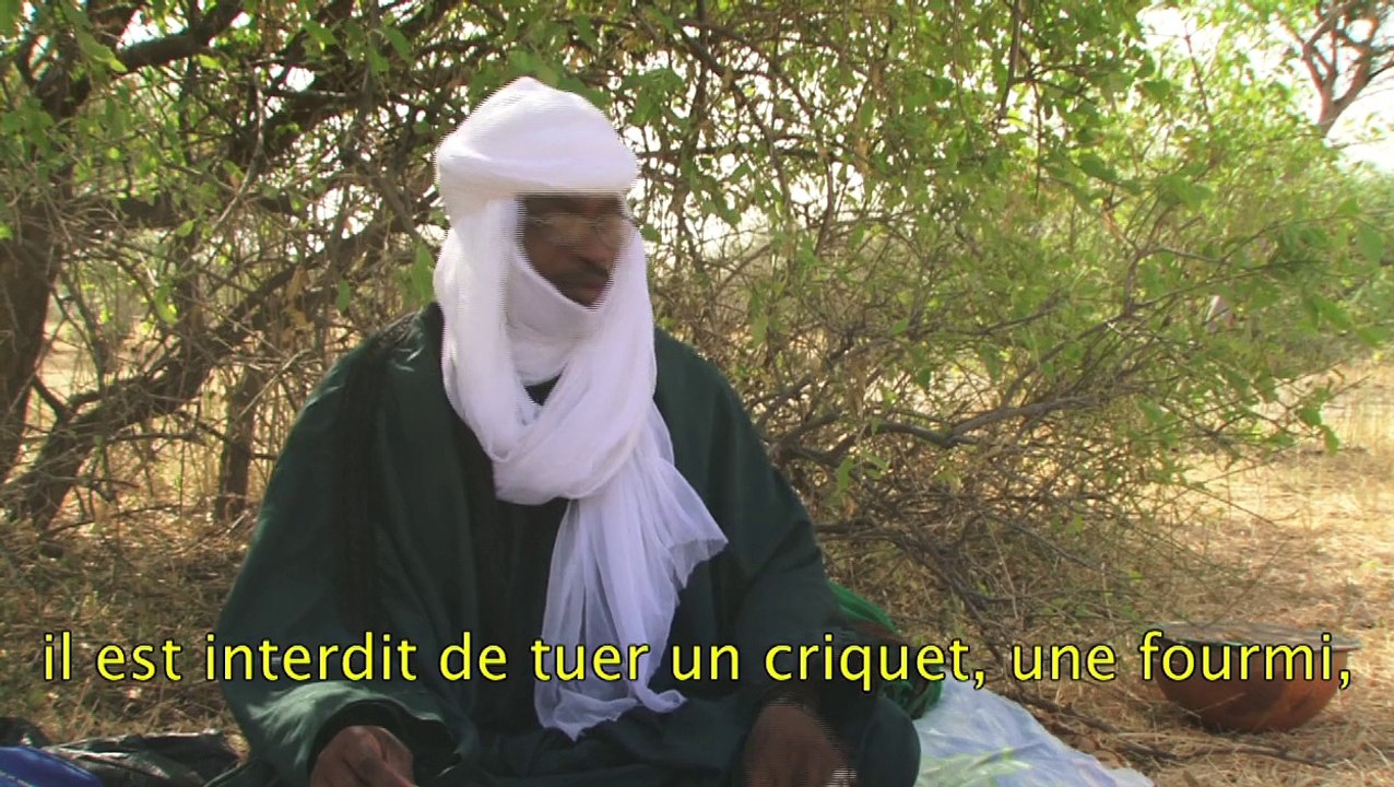 Fusils et Amulettes, extrait 3