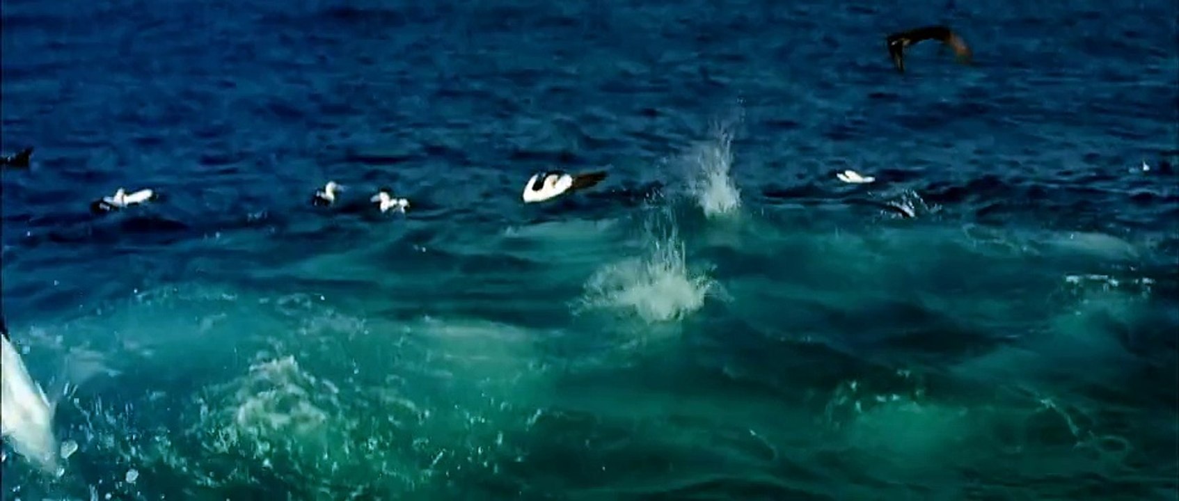 prueba dailymotion video