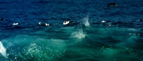 prueba dailymotion video