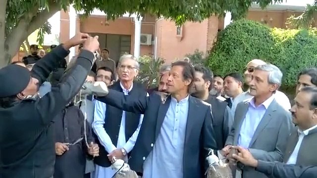 Imran Khan releases 10 Falcons back in the free sky. They were recovered by KP Officials.