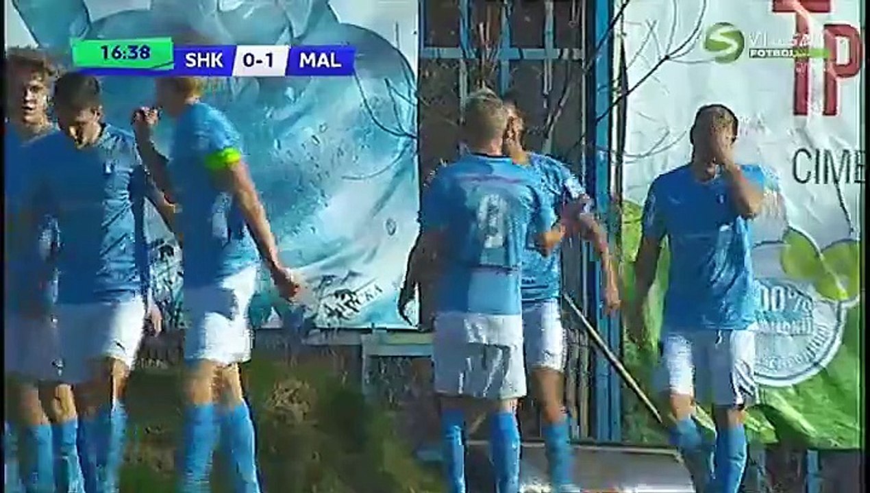 Shakhtar Donetsk U19 vs. Malmö FF U19  3 - 1  All Goals ( UEFA Youth League - 3 November 2015)