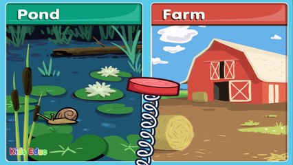 Animals and Their Homes Fun Learning Game for Kids, Educational Activities for Children