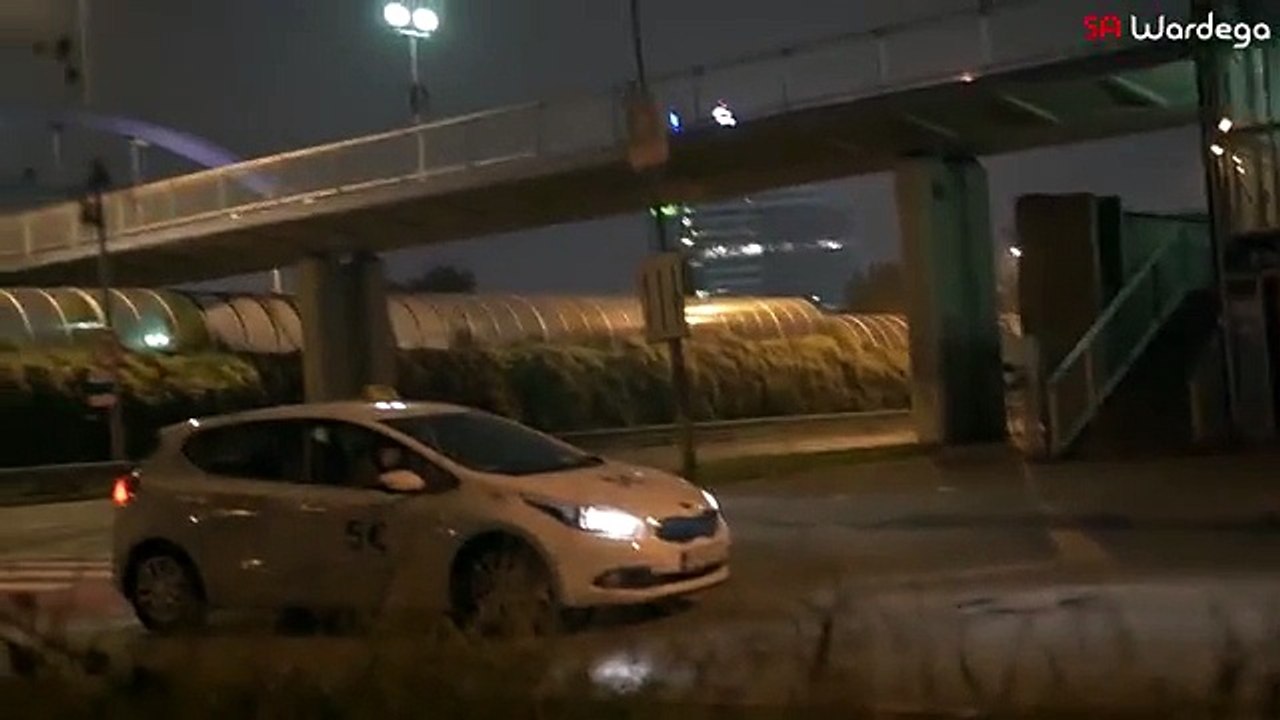 Ces chiens sont déguisés en énormes araignées et font hurler de peur les passants