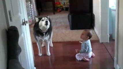 Dog imitates baby