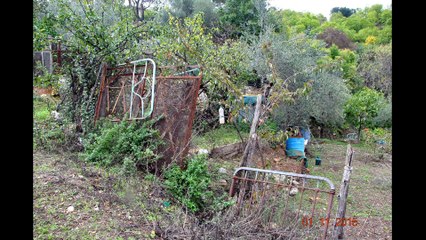 aux sources du Genal