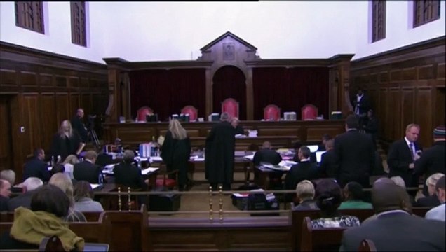 Procès en appel d'Oscar Pistorius