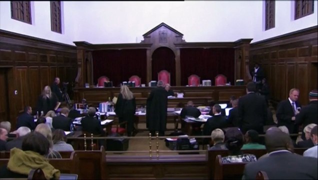 Procès en appel d'Oscar Pistorius