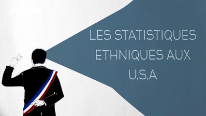 Les statistiques ethniques aux U.S.A - DESINTOX - 03/11/2015