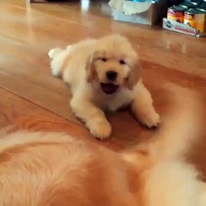 Gotcha!