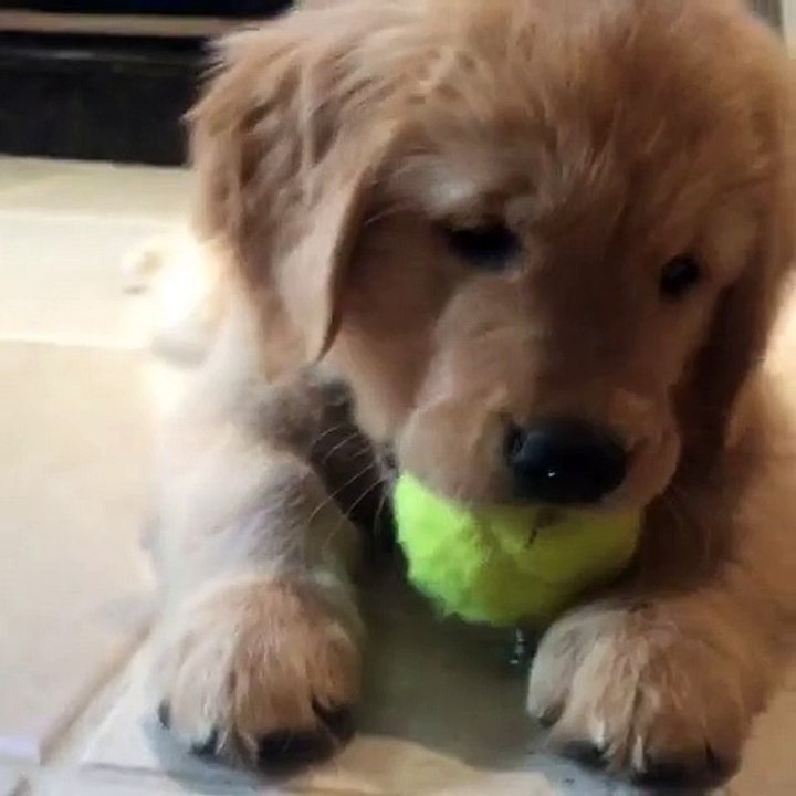What?! Something stuck in my teeth?