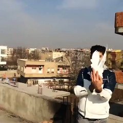 Pigeon Back Flip While Flying