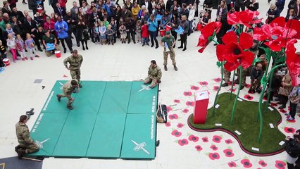 Poppy Day: Royal Marines Reveal Unarmed Combat Techniques