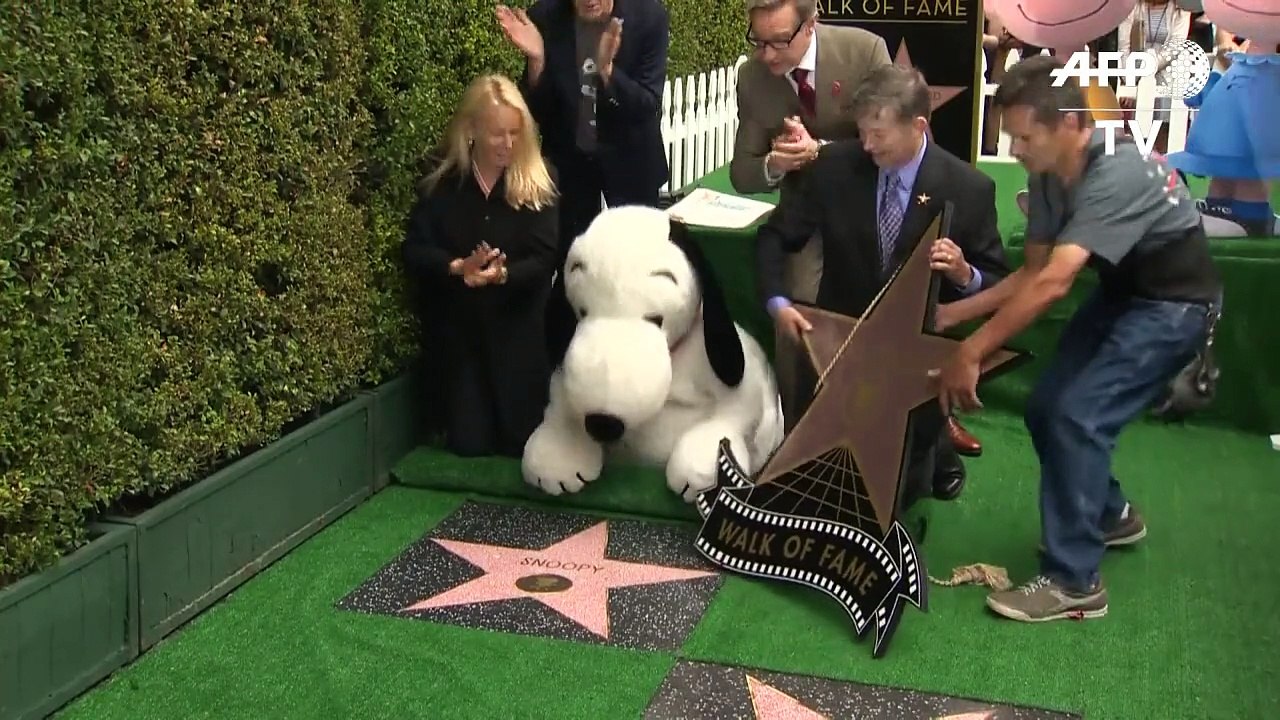 Stern für snoopy in hollywood