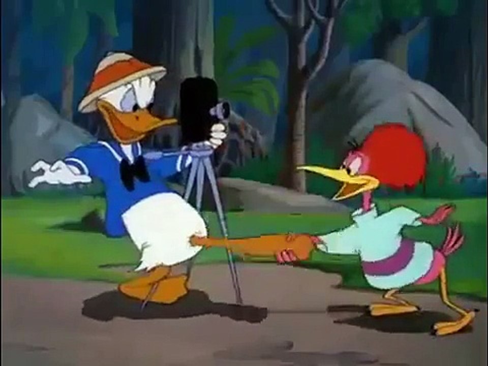 Donald Duck Clown of the Jungle Episode