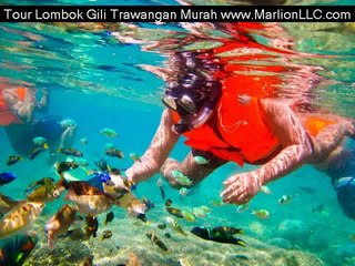 Lombok Tour Packages - Affordable & Fun 🌴