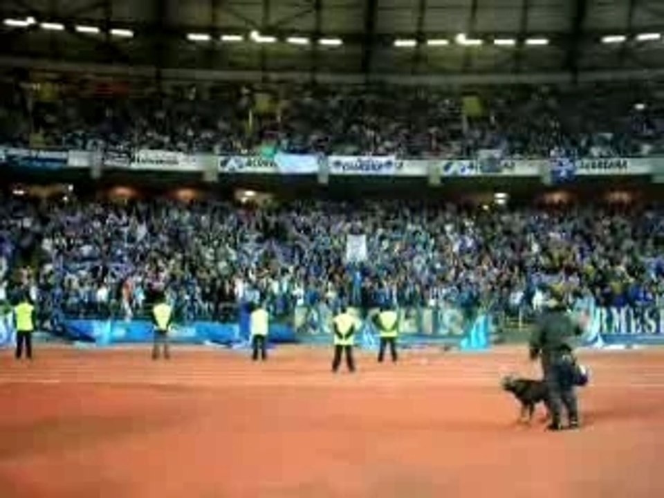 Super Dragoes de Porto à Coimbra