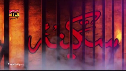 08 Syed Raza Abbas Zaidi -Noha 2016- BABA NA AYINGY