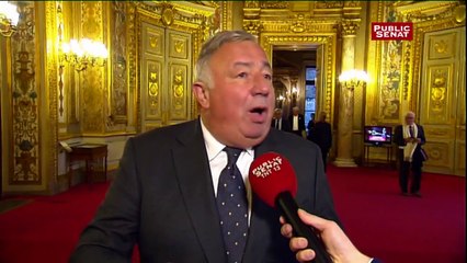 Report de la réforme de la DGF : réaction de Gérard Larcher