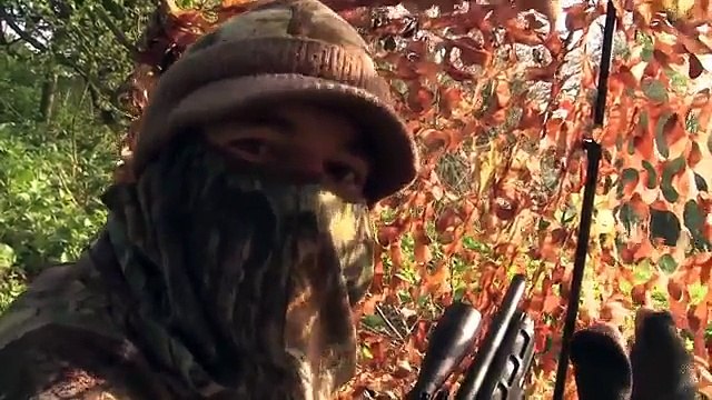 The Airgun Show – decoying corvids with the Daystate Pulsar, PLUS the BSA Comet EVO on tes