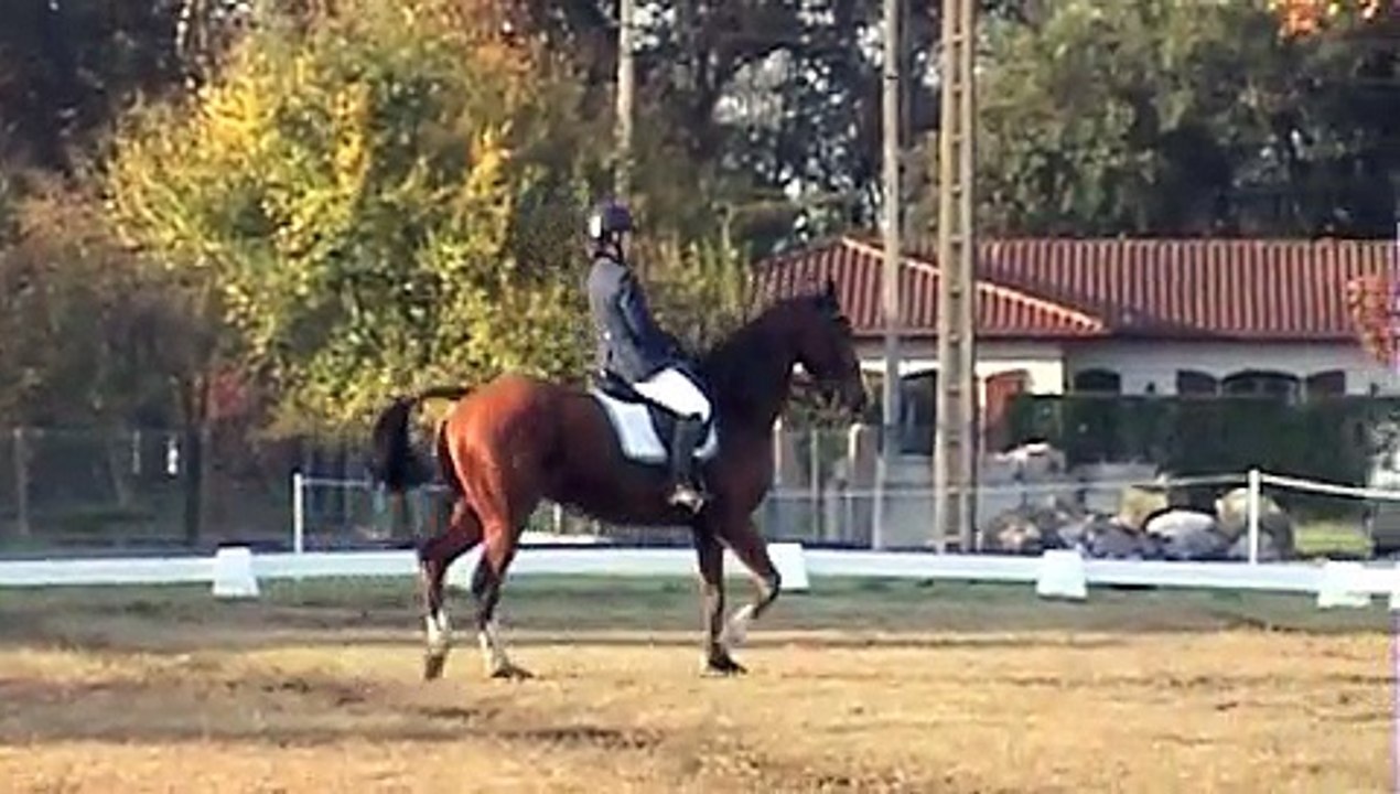 15-10-30 - CCE am2 Tartas - Reprise dressage