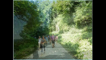 Sortie du club à Aubeterre sur Dronne (24) mai 2015