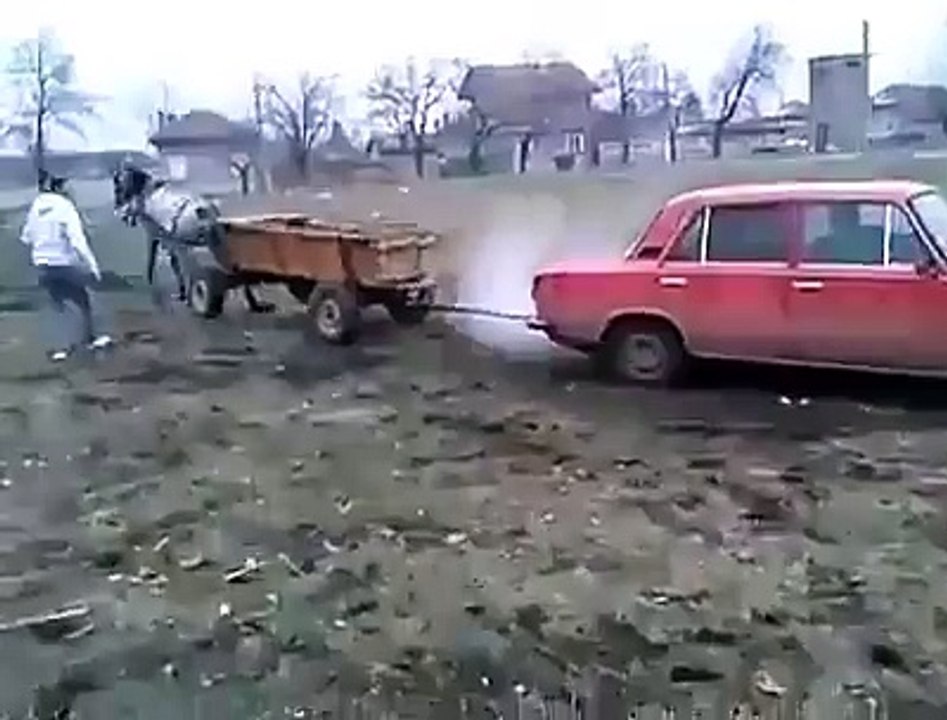 1000cc Car vs Horse