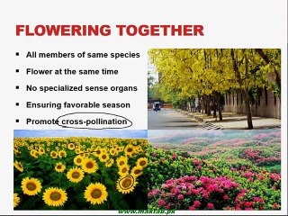 FSc Biology Book2, CH 18, LEC 2; Flowering Time