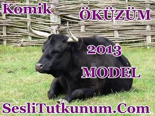 Komik Sarkilar 2013 Yakisikli Öküzüm