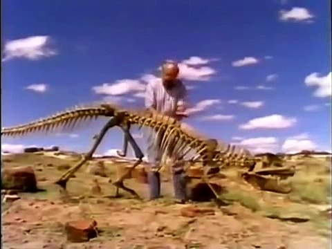 Documental Leones vs Leopardos animales salvajes | documentales completos en español