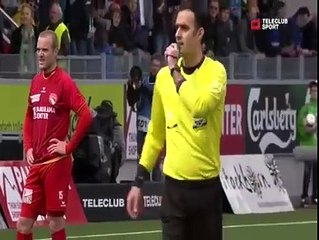 When animals attack the football pitch