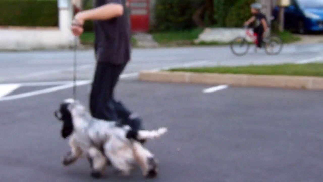 Jolan ar sterenn gwen