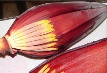 What are the Health Benefits of an Eating banana flower for your body