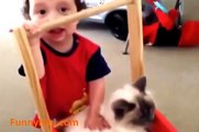 FUNNY VIDEOS Funny Cats Funny Cat Videos Funny Animals Cute Pets Try Not To Laugh