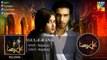 Gul-E-Rana Full Audio OST - Sajjal Ali - Feroze Khan - HUM TV Drama -