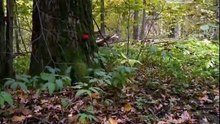 Жертвы Бутовского полигона