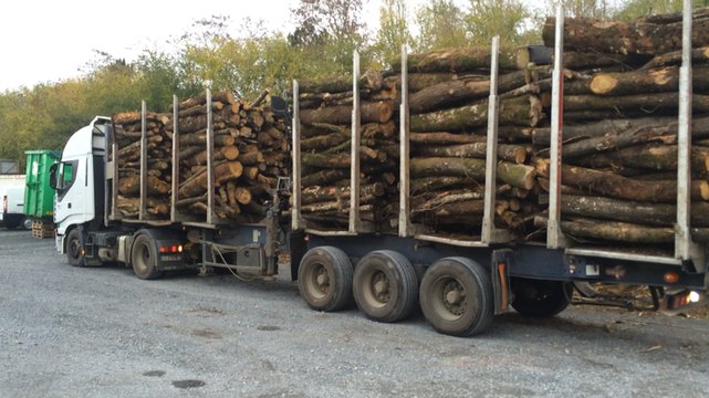 Du bois en grumières transformé en bûchettes