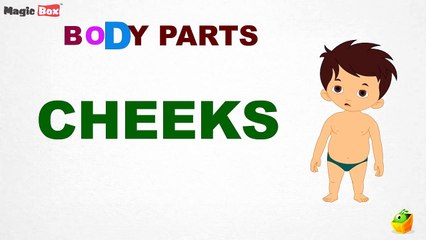 Learn Body Parts Song - English Nursery Rhyme For Children 3D Animation
