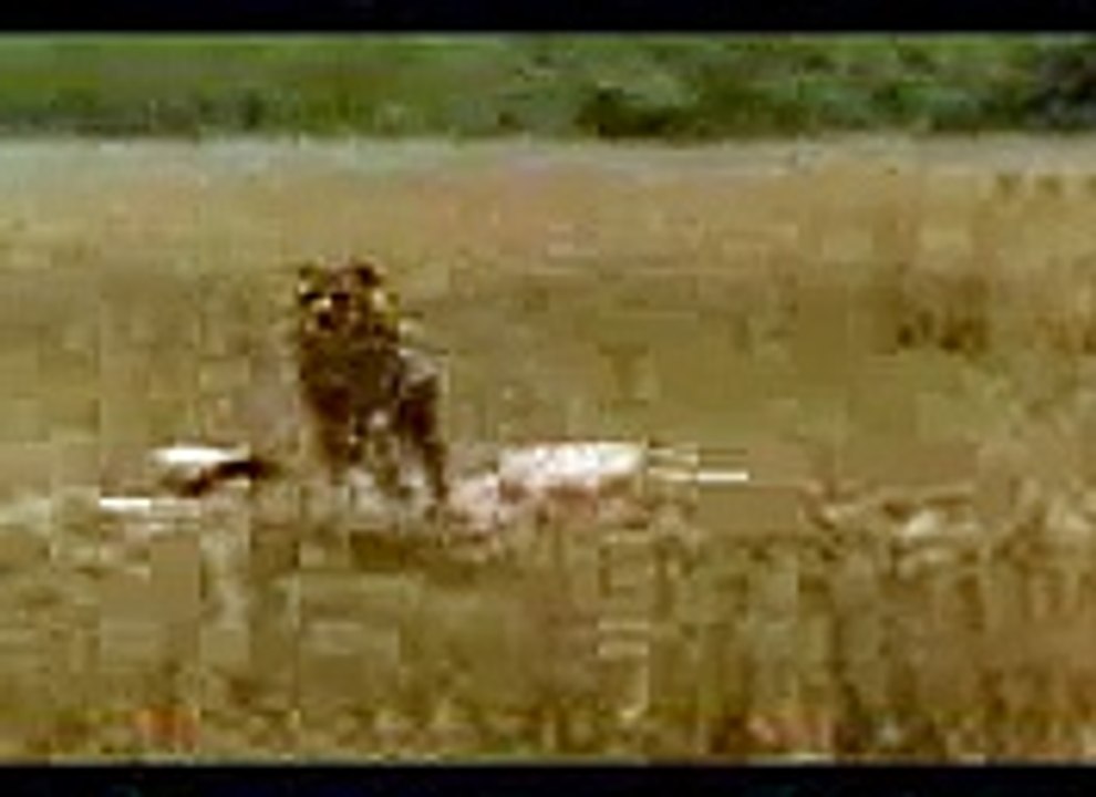 Cheeta & Me