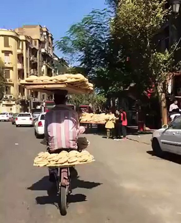 Bread Transportation