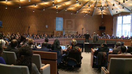 SHQIPNIA KOSOVA PATJETËR NË UNESCO