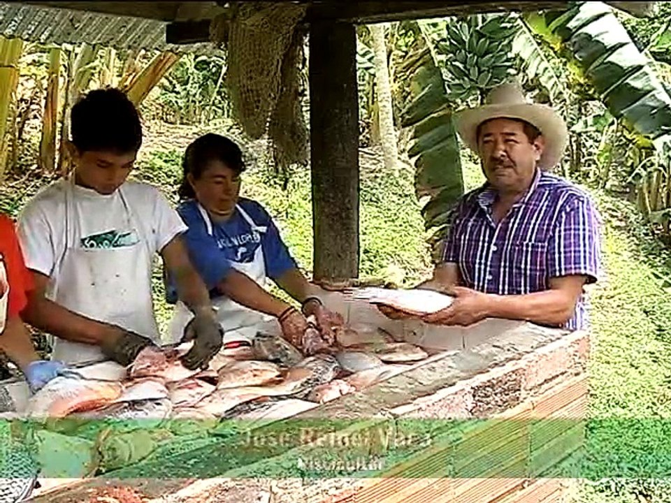 8 de octubre de 2015 Vacalandia y día de campo