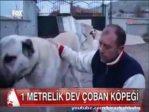 İyilik Yapmanın Zararları - Komik videolar - Funny videos
