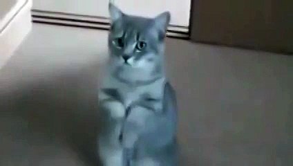 Уроки попрошайничества