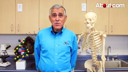 Make a Rainbow in a Glass (Amazing Science Experiment) 2016